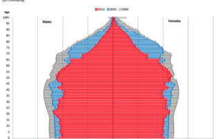 grafico poyectos por población