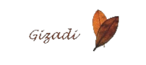 logo gizadi